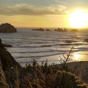 Meet your Posher, Doris